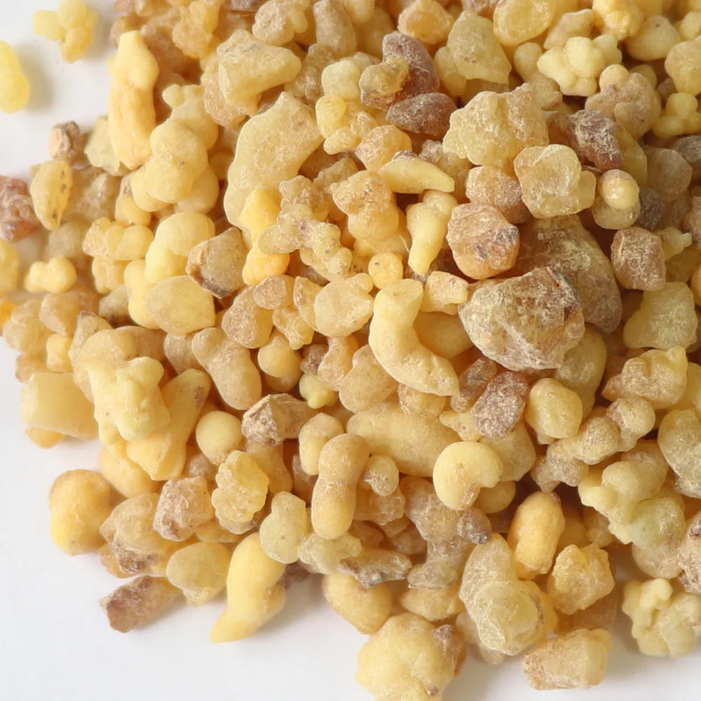 Sacred Frankincense Resin — Divine Cleanse & Elevation (20g)