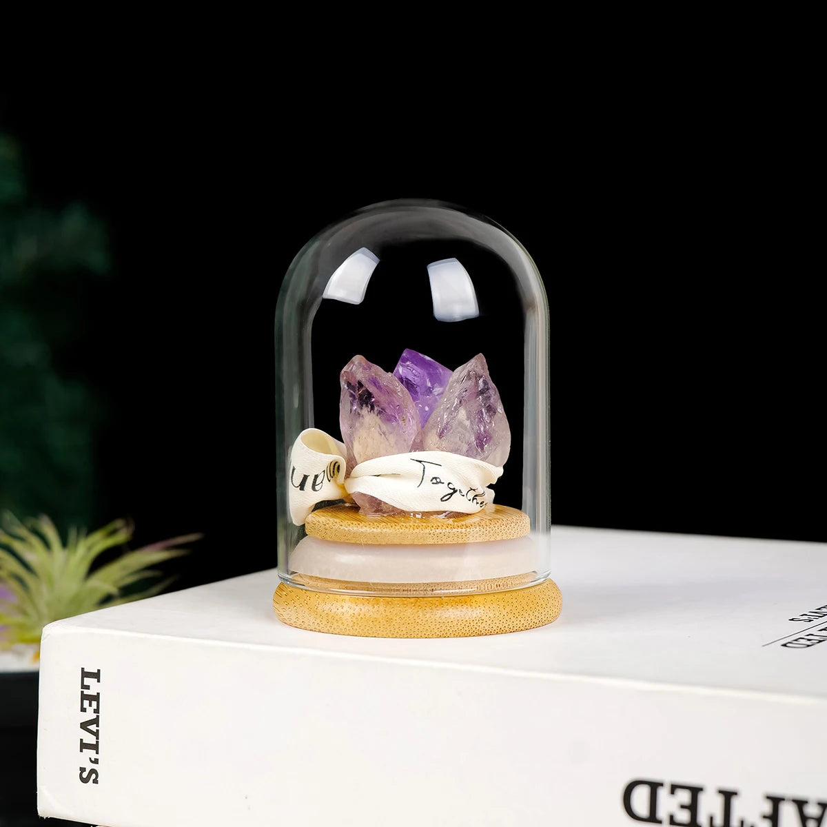 Enchanted Gem Dome – Natural Citrine or Amethyst Crystal Wish Bottle