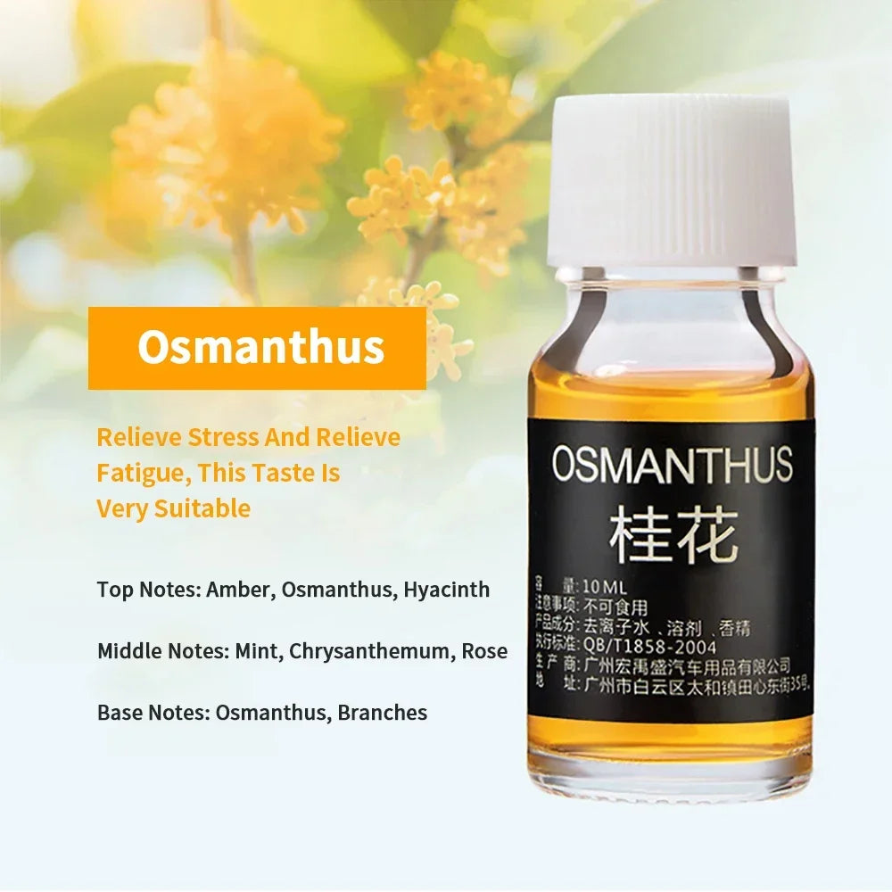 18 Fragrance Essential Oils – Aromatherapy Set for Diffusers, Humidifiers & Home Relaxation (10ml Bottles)
