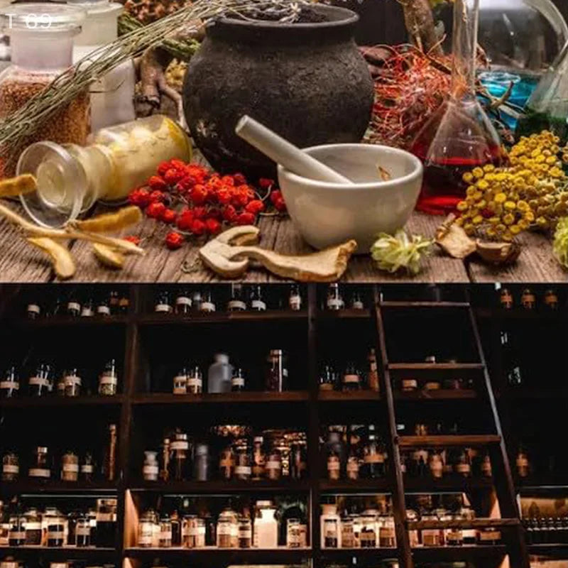 The Holistic Home Apothecary – 1000+ Herbal Remedies for Natural Healing & Wellnes